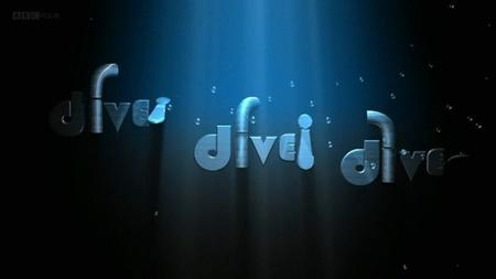 Dive! Dive! Dive!&nbsp;(2010)