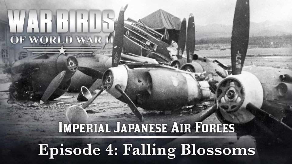 Warbirds of World War II (2008): S01E04 – Falling&nbsp;Blossoms