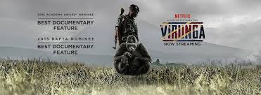 Virunga (2014)