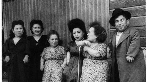 The Seven Dwarfs of Auschwitz&nbsp;(2013)