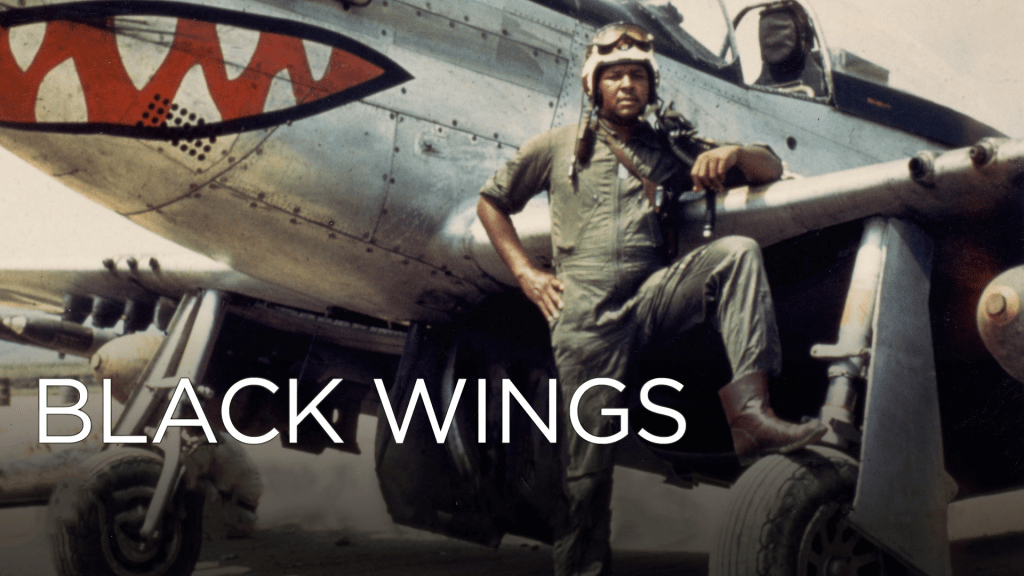 Black Wings (2012)